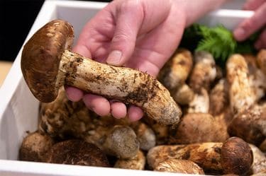おいしいもんと珍しいもんは違う｣三ツ星を断った伝説の店｢京味｣の哲学