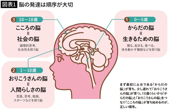 【図表1】脳の発達は順序が大切