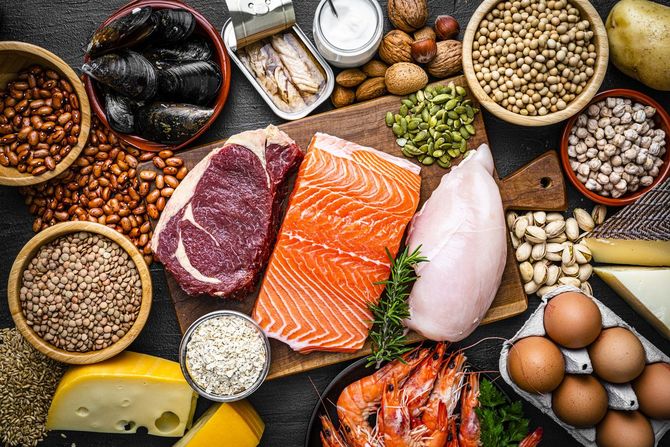 健康的なタンパク質が豊富な食品