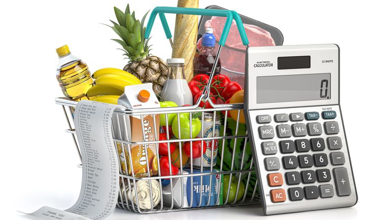 8人家族で月の食費9.6万円を実現…大家族FPママが選んだ冷蔵庫の意外なサイズと買い物の回数 4人家族の食費と同程度に抑えられる納得の理由
