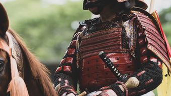信長政権下では一番の出世頭だったのに…部下だった秀吉に子供も領地も徹底的に吸いつくされた宿老の痛恨