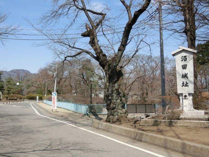 沼田城址