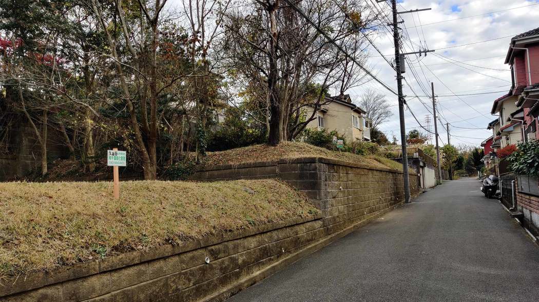 なぜ売れないのに広告するのか…千葉郊外の放棄分譲地が｢売れるはずのない価格｣で宣伝する意外なカラクリ 売れてしまうと｢草刈り料｣が取れなくなる