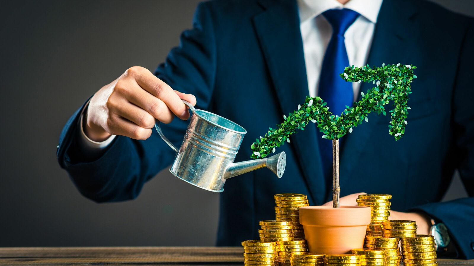 お金がないのに投資する人はバカである…荻原博子が｢投資をしない若い世代は賢明だ｣と評価する理由 投資はギャンブルなので､一か八かの勝負と同じ