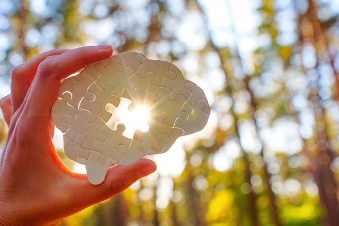 太陽の光を背景にした脳のような形をしたパズルピースを持つ手