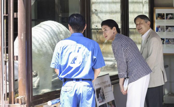 愛媛県砥部町の県立とべ動物園でホッキョクグマの「ピース」を見学される天皇、皇后両陛下=2026年5月17日午前(代表撮影)