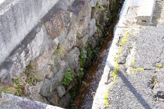 今も街角に残る背割
