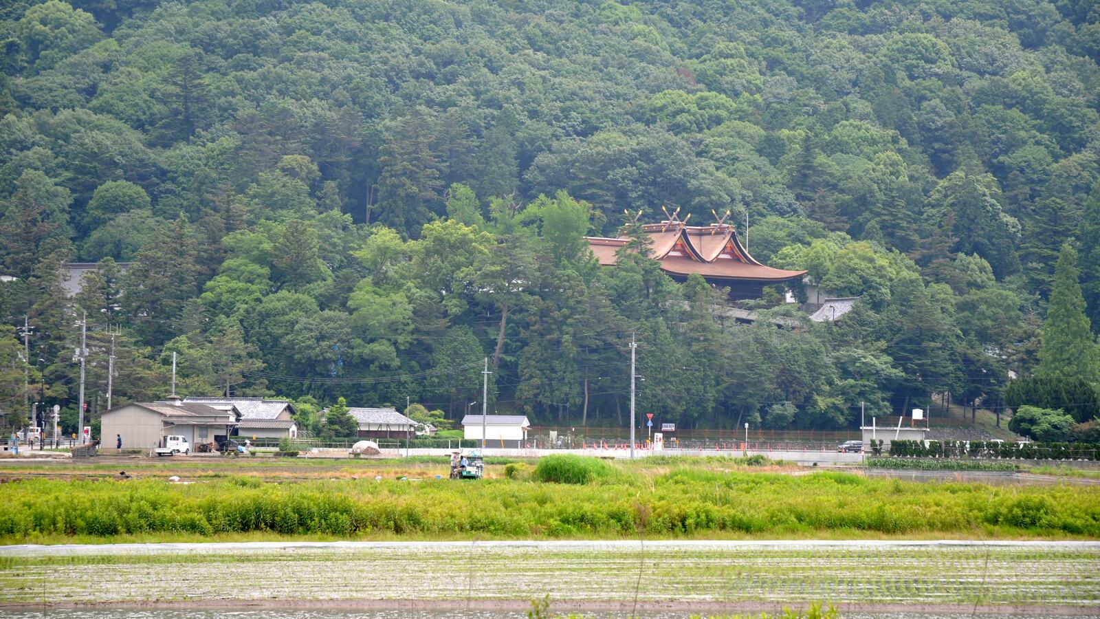 6000本の杭を打ち込んだ不思議な構造物…岡山県の｢謎の遺跡｣に秘められた古代人の凄い発想 19世紀オランダの技術とも共通点がある