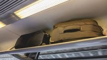 電車の網棚にわざと遺骨を置き忘れる人の動機