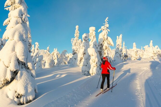 クロスカントリースキーをするフィンランドの女性