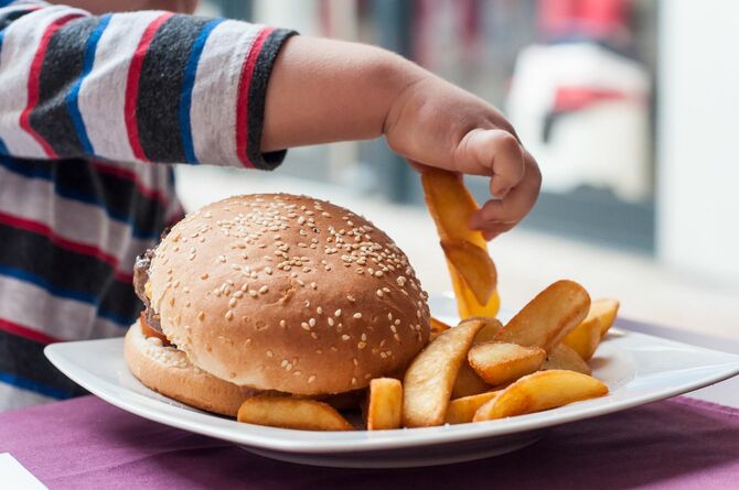 レストランでハンバーガーとフライドポテトを食べる小さな男の子の手元