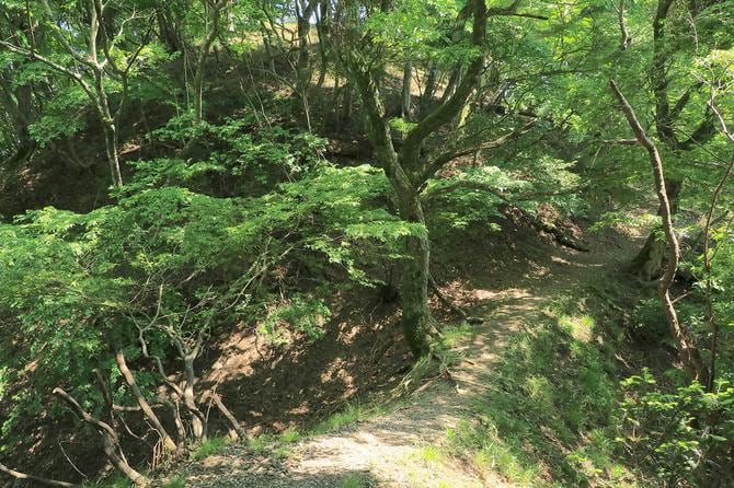 大堀切。正面奥の切岸上が本丸