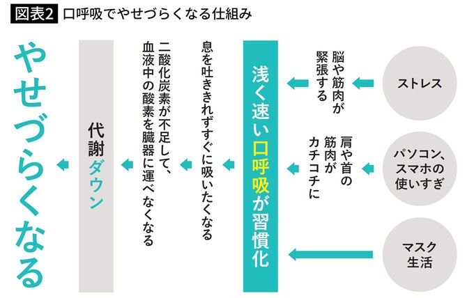 口呼吸でやせづらくなる仕組み