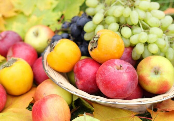 秋の新鮮なフルーツ