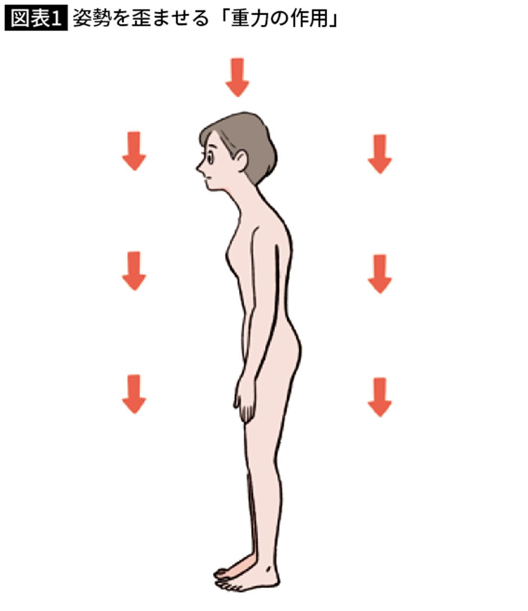 姿勢を歪ませる「重力の作用」