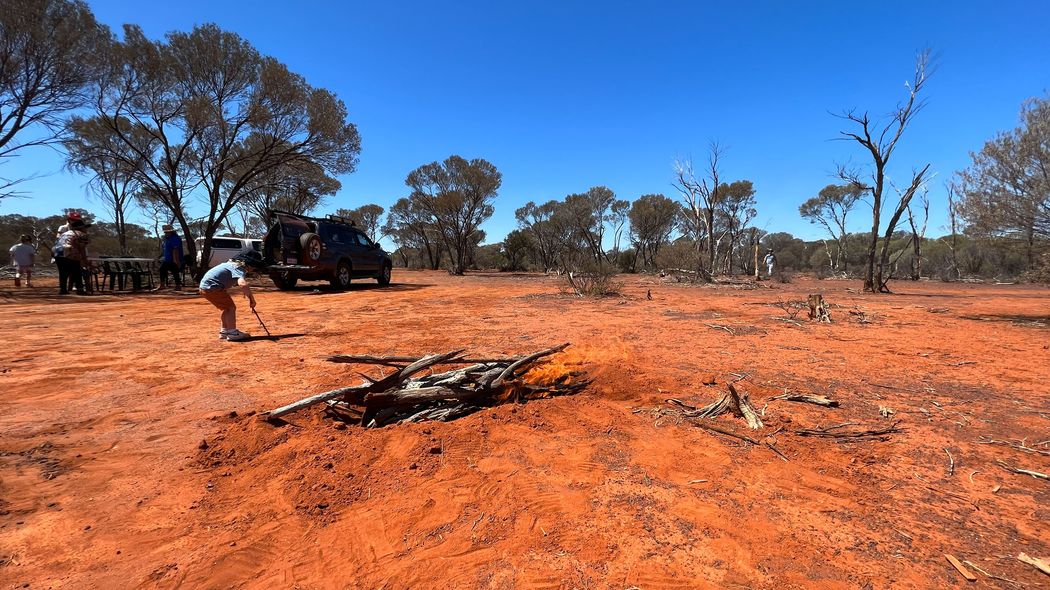 「昆虫食は美味しくない」説は覆った…オーストラリアの荒野に生息する"スイーツのような虫"の正体