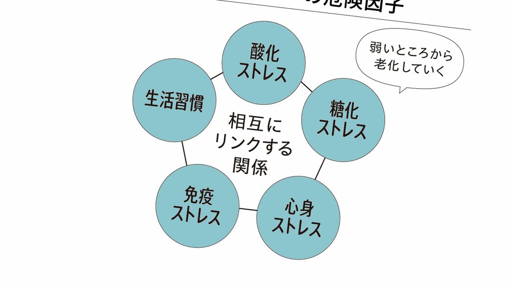 100歳まで生きる人と圧倒的な差がつく…医師｢若くして老化スイッチが入りやすい人がもつ"5つの危険因子"｣