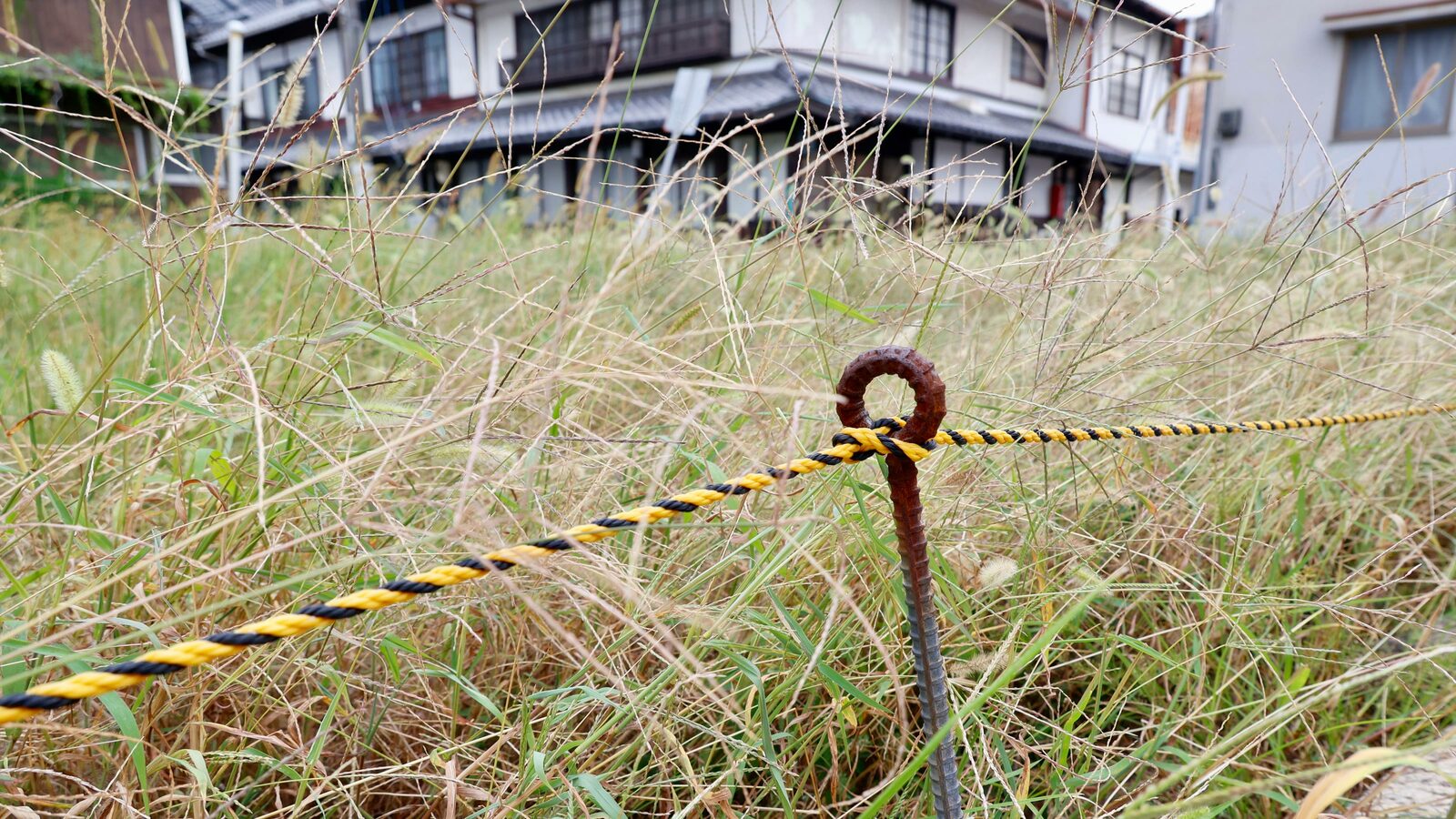 なぜ｢絶対に売れない土地の草刈り｣が続くのか…千葉県郊外でよく見る｢売地｣という看板のウラにある事情 買い手が見つからないほうが仲介業者は儲かる