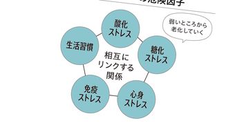 100歳まで生きる人と圧倒的な差がつく…医師｢若くして老化スイッチが入りやすい人がもつ"5つの危険因子"｣