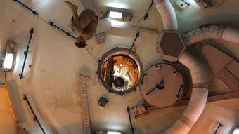 ｢乗り物酔い｣は必ず克服できる…リスザルを回し続けた耳鼻科医が解明した｢酔う人と酔わない人｣の決定的な差