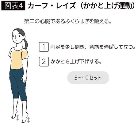 【図表4】カーフ・レイズ（かかと上げ運動）