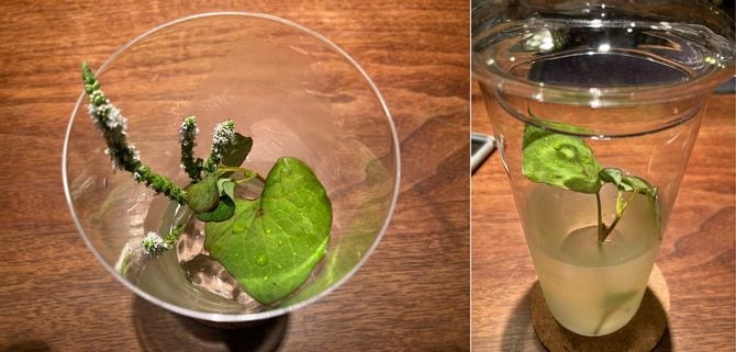 ジンベースのドクダミのカクテル