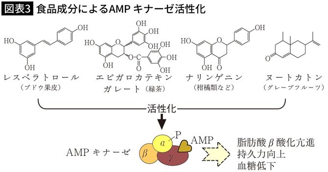 【図表3】食品成分によるAMPキナーゼ活性化