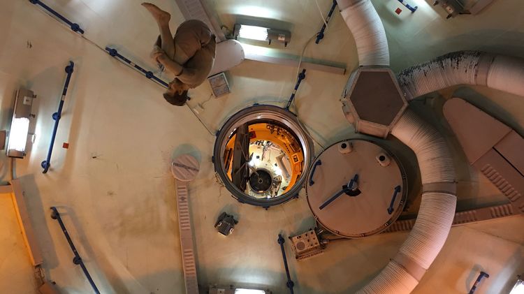 ｢乗り物酔い｣は必ず克服できる…リスザルを回し続けた耳鼻科医が解明した｢酔う人と酔わない人｣の決定的な差