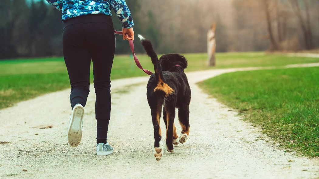 ｢わざわざGWに旅行する人はお金が貯まらない｣1億円貯まる人が旅の代わりに連休中にしていること "家族の思い出づくり"のために旅行する人は貧乏神に取りつかれる