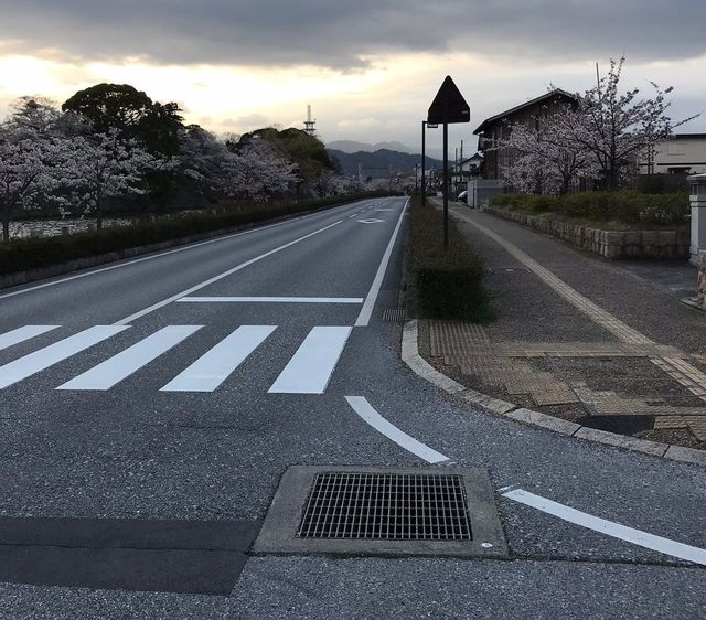 事故現場は見通しのよい直線道路。