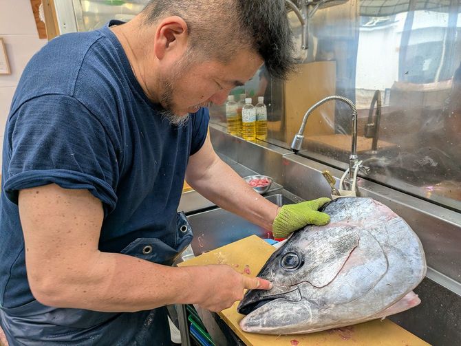 ムギイカではなくクロマグロの頭をさばいている上田さん。小田原港で1本だけ水揚げされた64キロだそうです