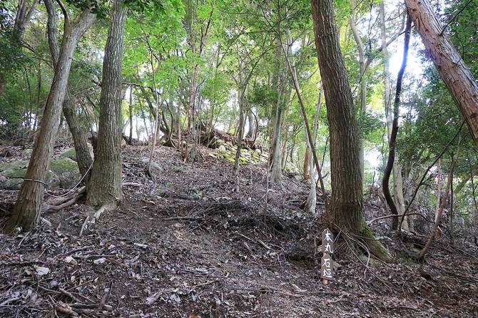 登山道から見上げる本丸東側面の石垣