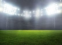 なでしこに負けるな！ 進化するラグビー女子セブンズの輝き