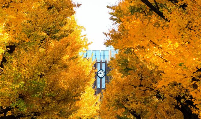 秋の東京大学