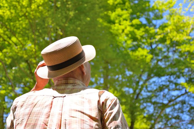 新鮮な緑とシニア