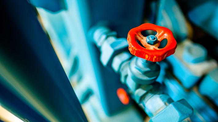 ※写真はイメージです