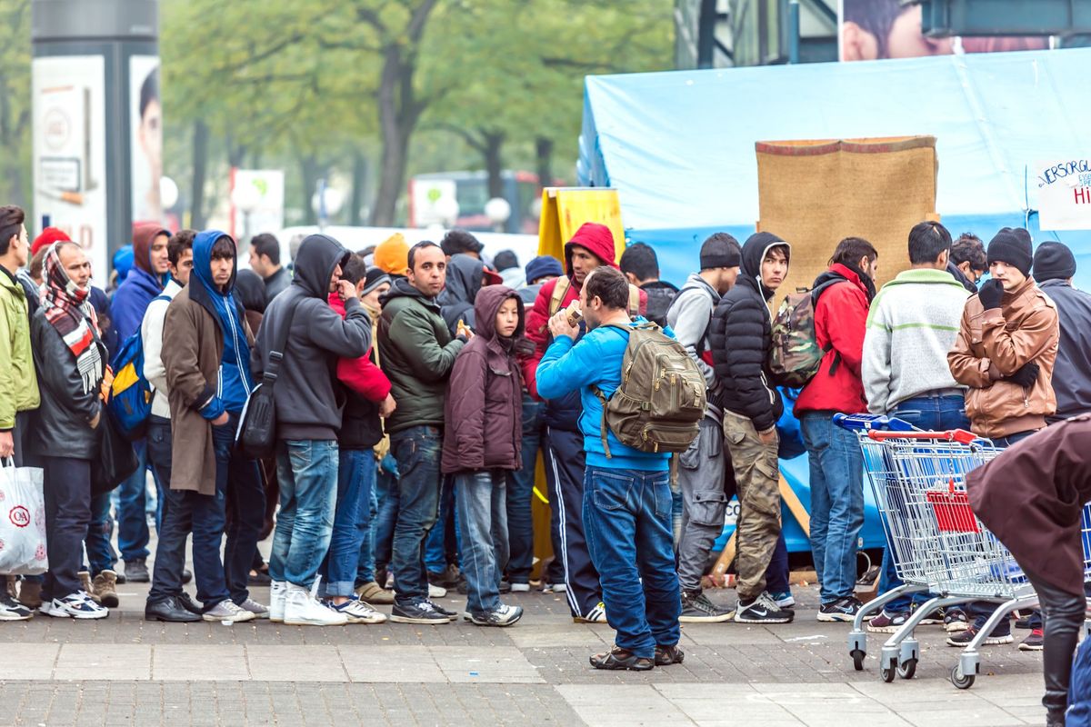 Social Democratic Party Approval Rating at 14%: German Government in Crisis