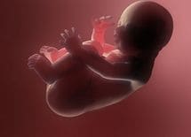 眠れない夜に"効く"クラシック曲ベスト5