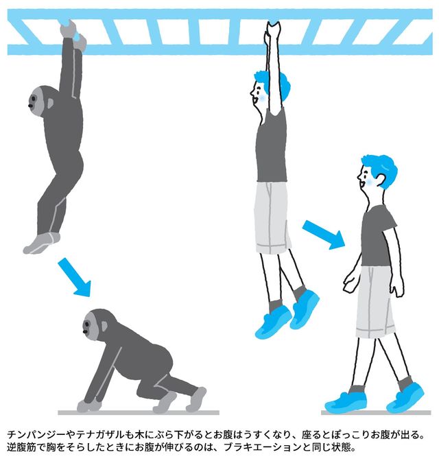 【イラスト】「ぶら下がり」の姿勢