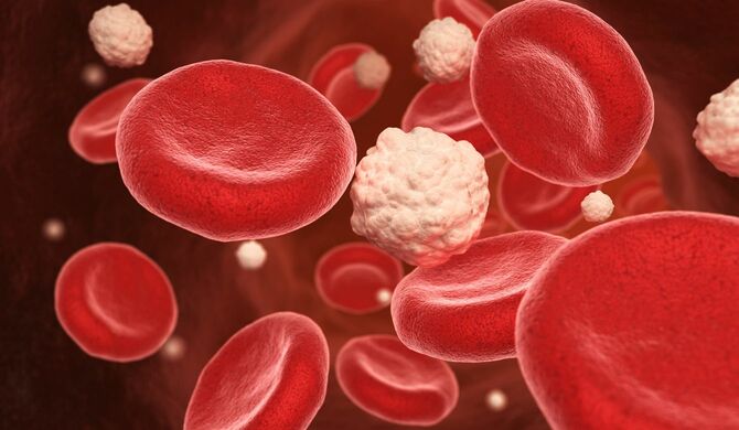 血管内の赤血球と血糖のイメージ