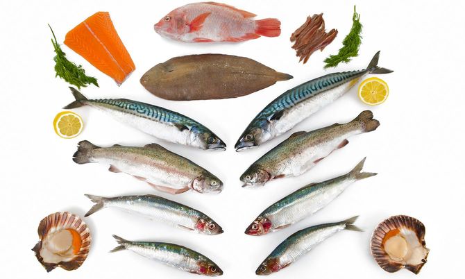 さまざまな魚介類