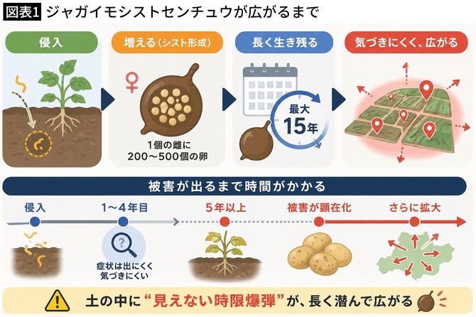 【図表1】ジャガイモシストセンチュウが広がるまで