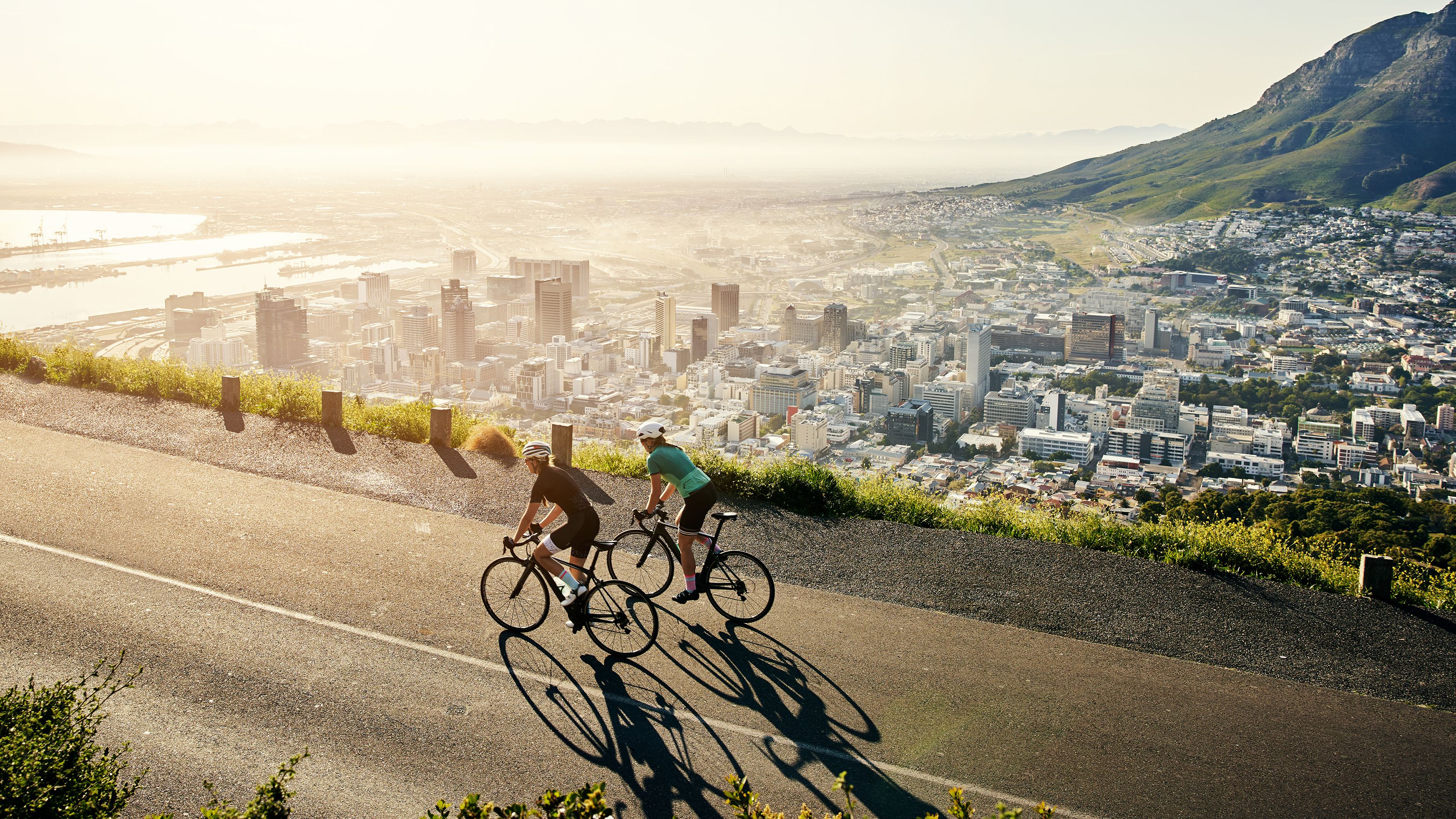 ジョブズが繰り返した テクノロジーとは自転車と同じだ という言葉の真意 コンドルでさえ自転車には勝てない President Online プレジデントオンライン
