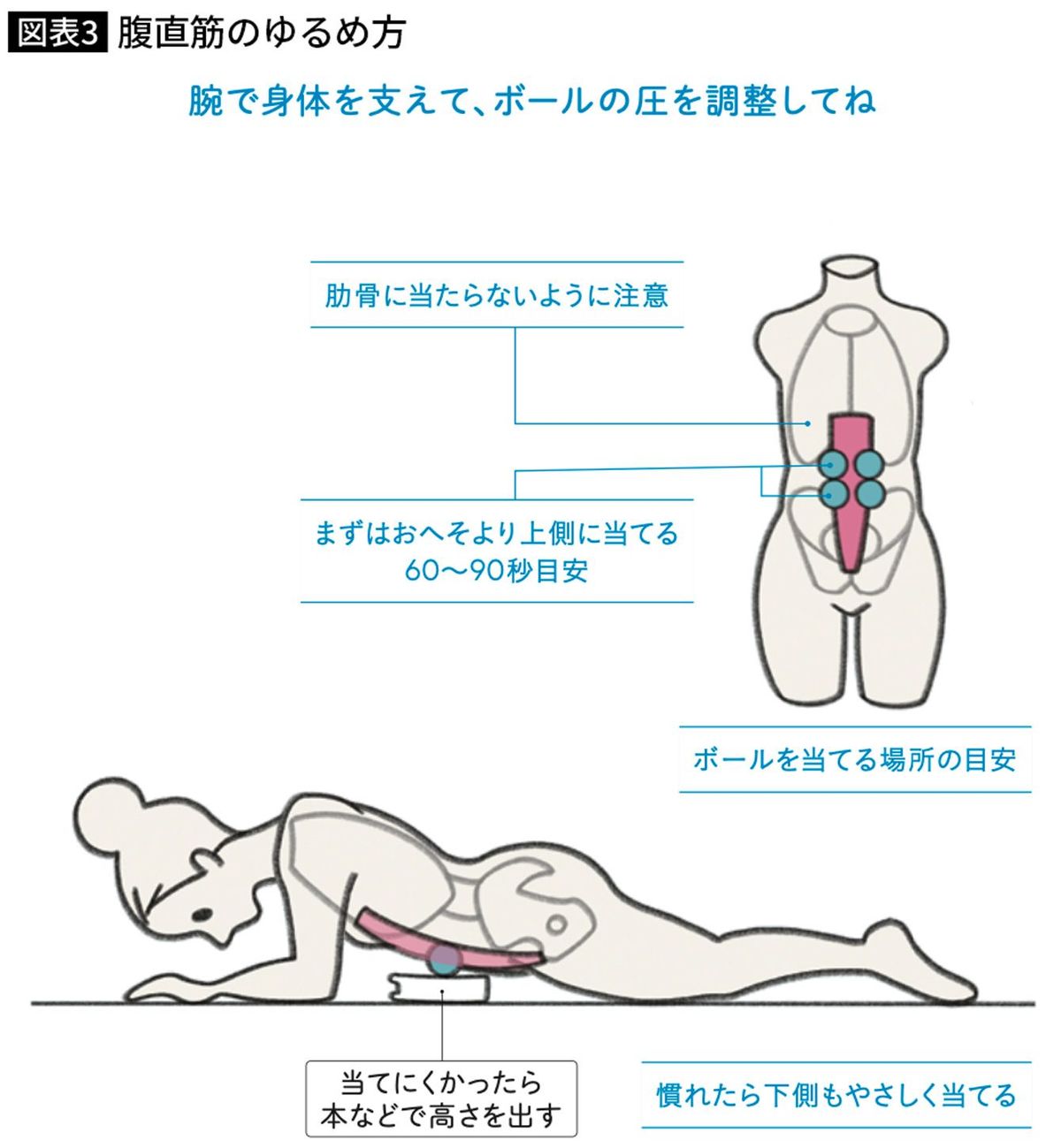 腹直筋のゆるめ方