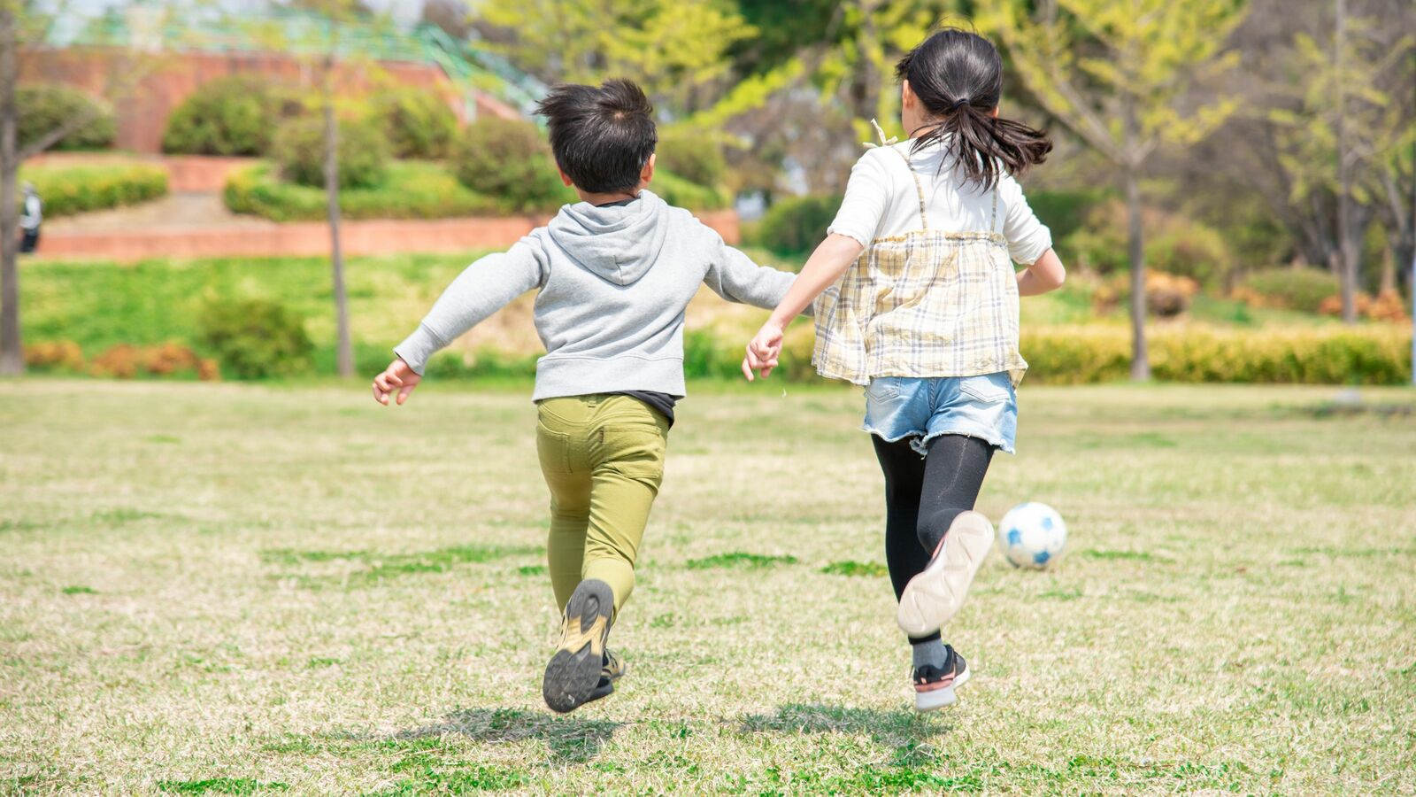 ｢昔の人が寛容だった｣から許されていたのではない…"ボール遊び禁止の公園"が増えてしまった本当の理由 現代日本の政治システムにそっくりそのまま当てはまる