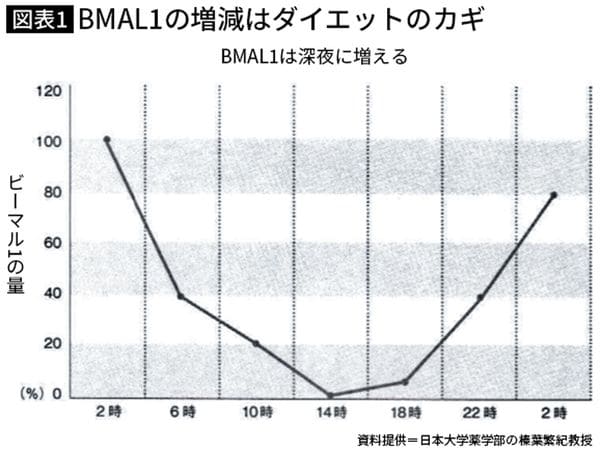 脂肪をためこむBMAL1は午後2時が少ない ※ピーク値を100%とした時の日内変動のイメージ