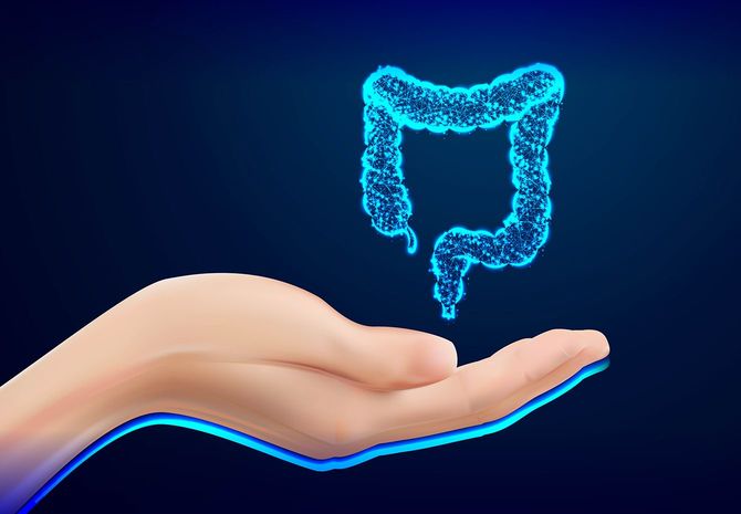 医師のコートポンティングや結腸、腸、消化器系