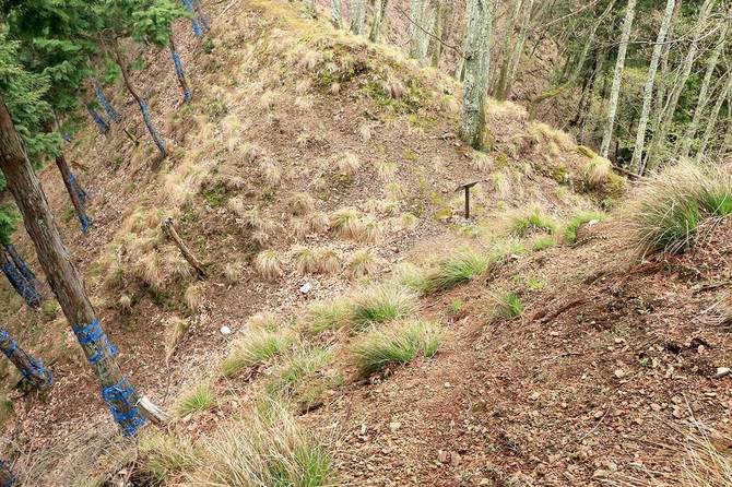 切岸上から見下ろしたところ