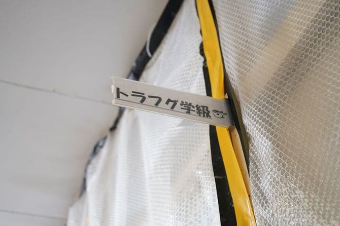 教室の入り口には「トラフグ学級」のプレート。