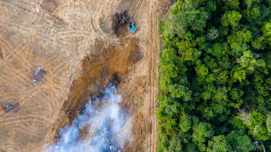 ｢EVシフトの大失敗｣だけではない…｢森林伐採規制｣を世界中に押し付けたヨーロッパの自縄自縛 ルール作りで経済の主導権を握るはずが…